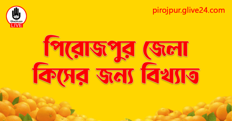 পিরোজপুর জেলা কিসের জন্য বিখ্যাত