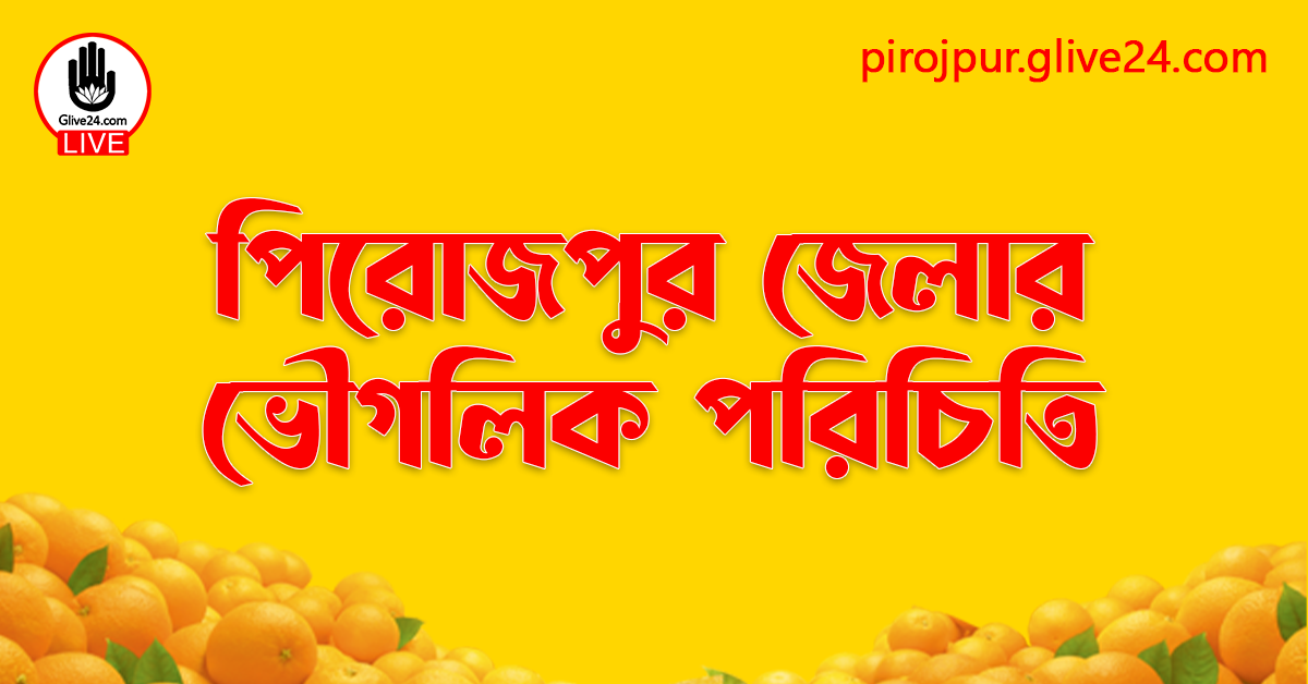 পিরোজপুর জেলার ভৌগলিক পরিচিতি