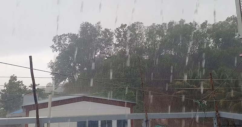 পিরোজপুরে প্রশান্তির বৃষ্টি