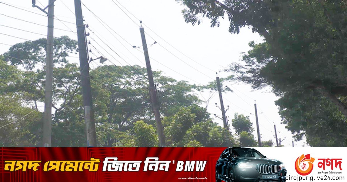 পিরোজপুরে হালকা বাতাসেই বিদ্যুৎ সরবরাহ বন্ধ