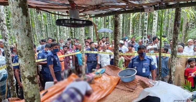 সুপারি বাগান থেকে বৃদ্ধের মরদেহ উদ্ধার