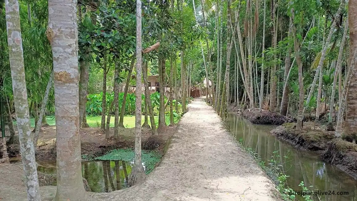 পিরোজপুর উপজেলার ইউনিয়ন